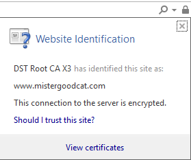 ssl-in-ie.png